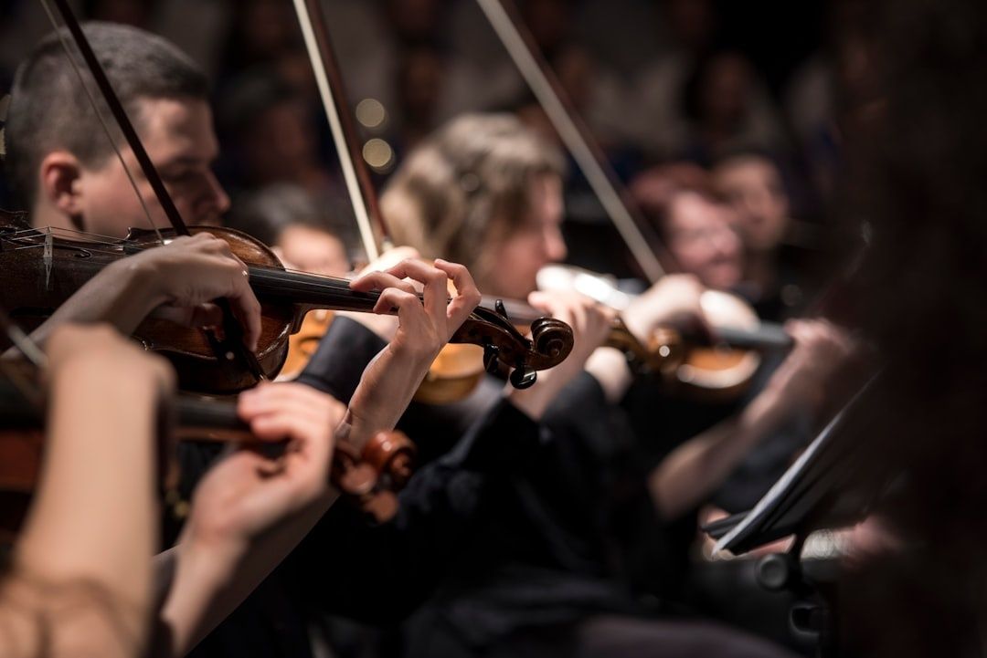 Geigerinnen und Geiger spielen konzentriert in einem Orchester